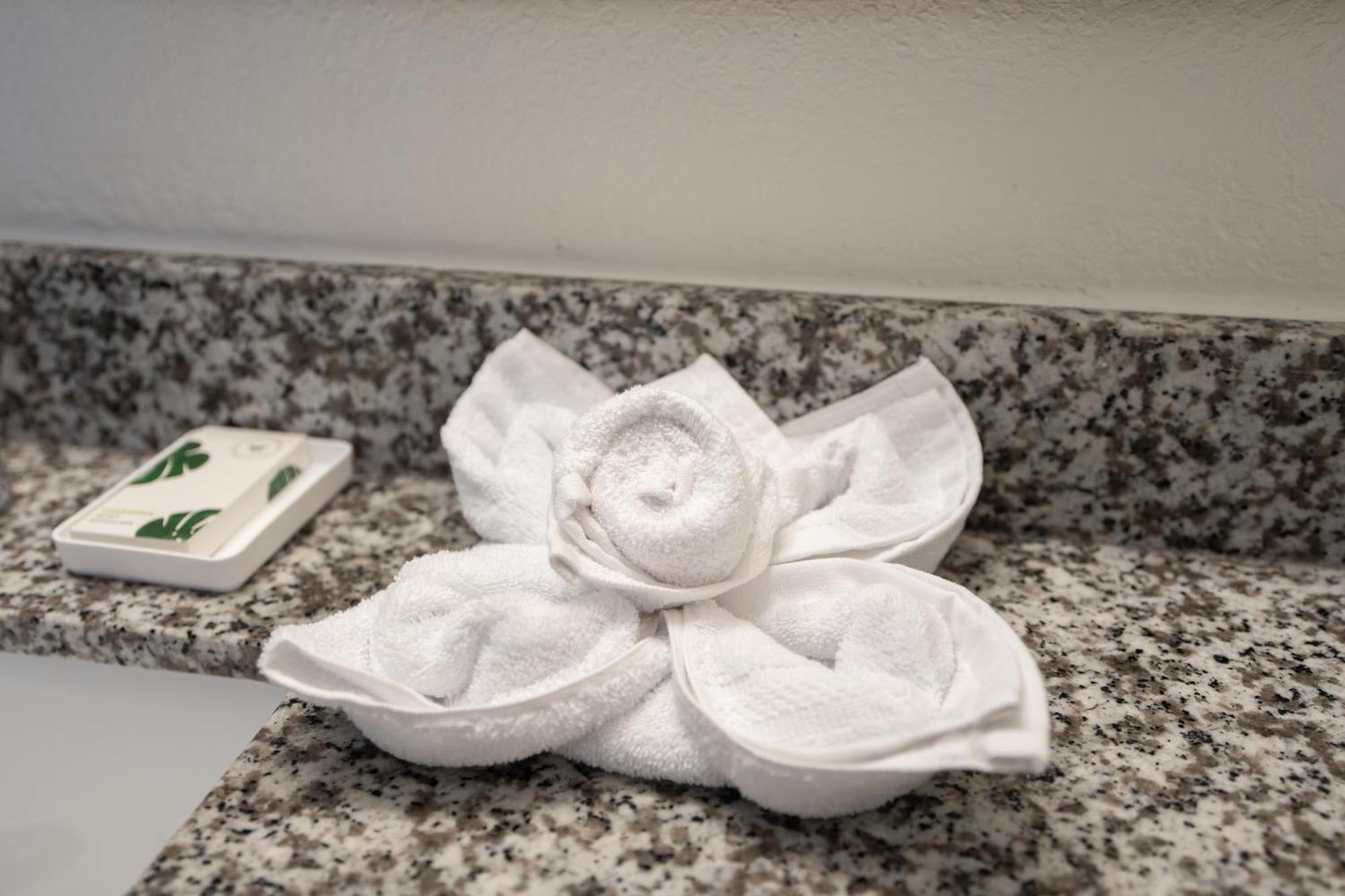 Oasis Bay Suites, Tampa, Busch Gardens, Usf Екстериор снимка